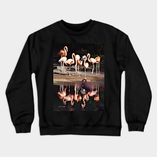 Caribbean Flamingo Crewneck Sweatshirt